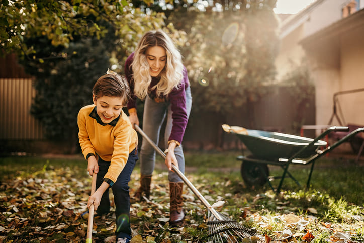 Spätsommer Gartenpflege